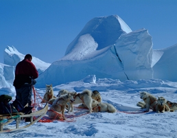 Greenland by ilovegreenland